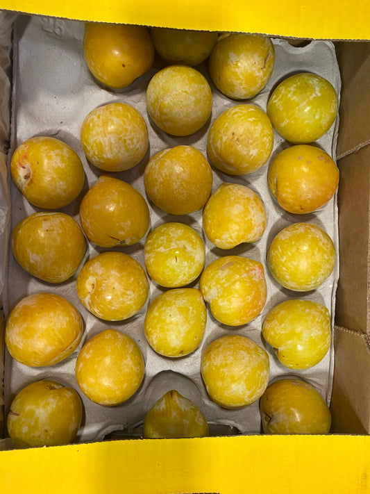 Ciruela Blanca