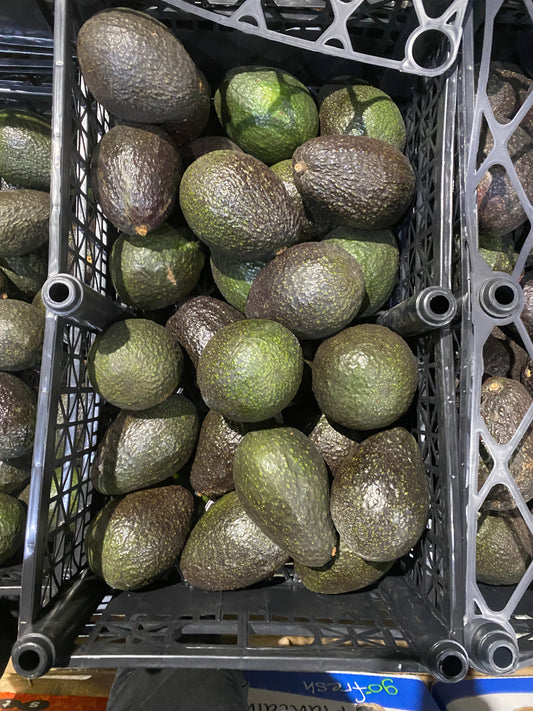 Aguacate 1ª