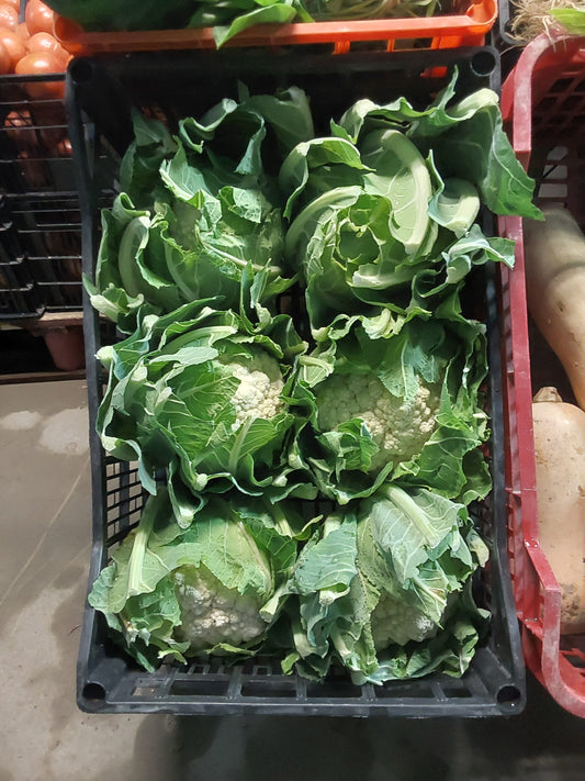 Coliflor