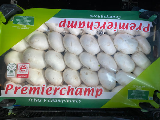 Champiñón