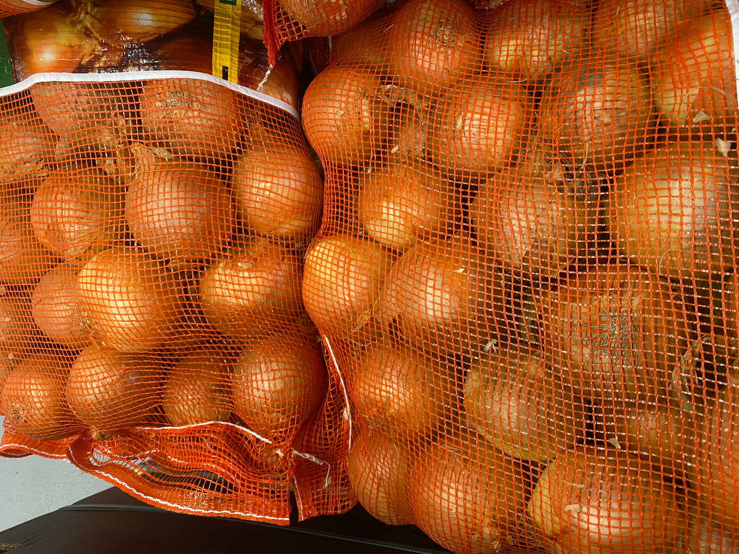 Cebolla Blanca Gorda