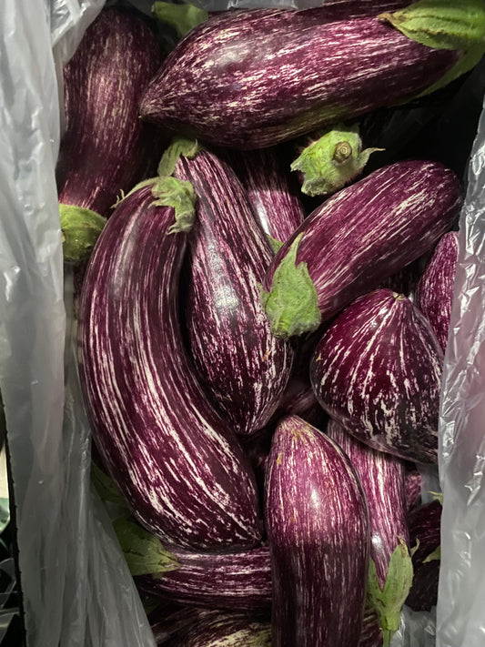 Berenjena Blanca