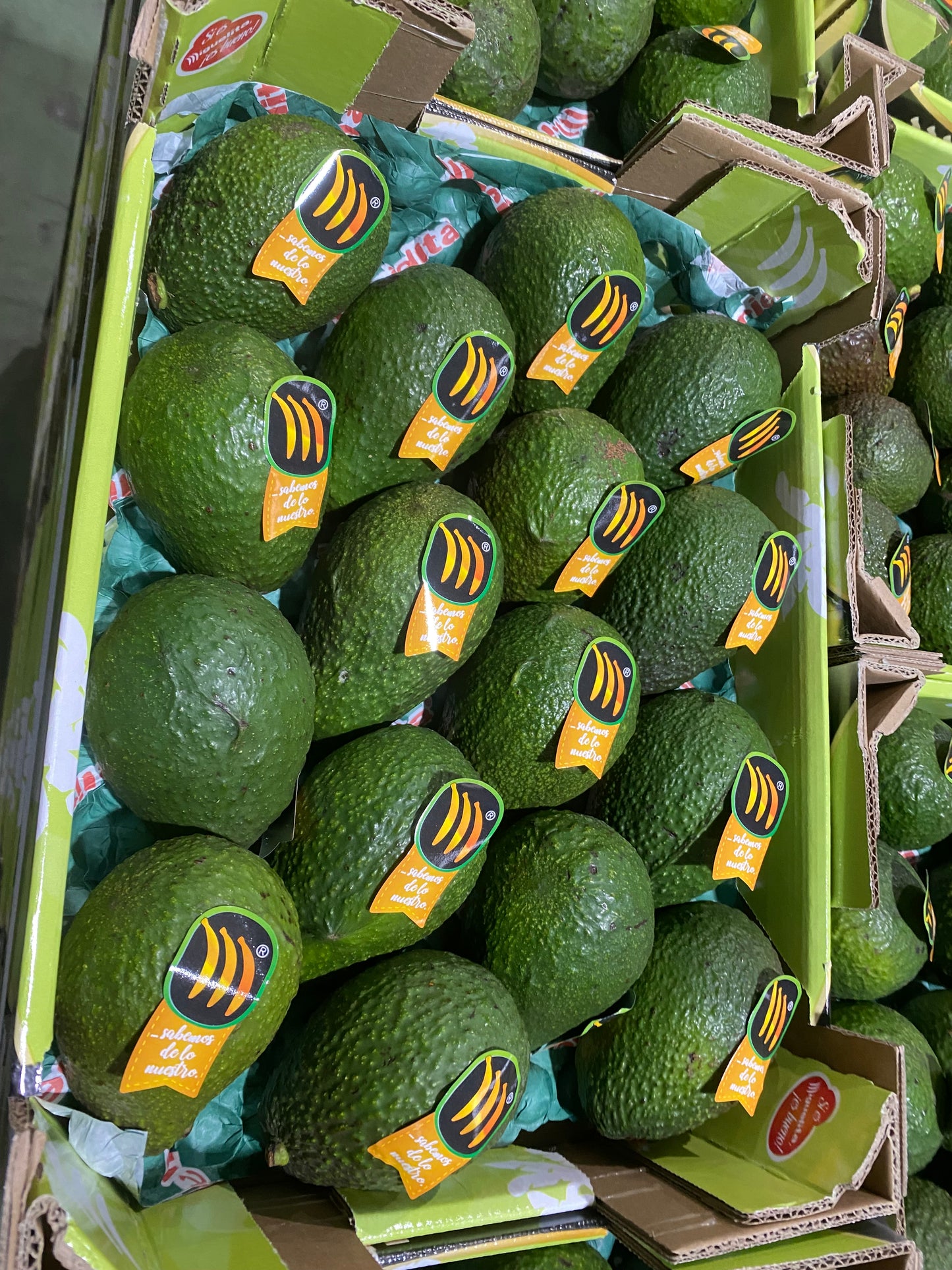 Aguacate 1ª Superior (Caja 4kg)