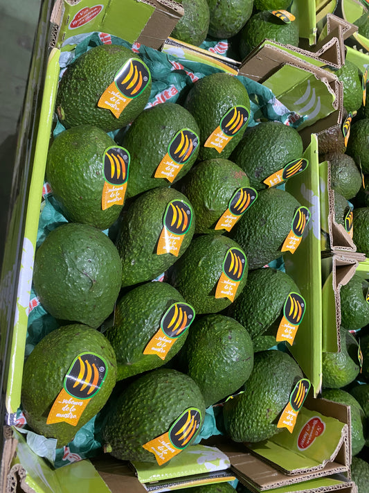 Aguacate 1ª Superior (Caja 4kg)